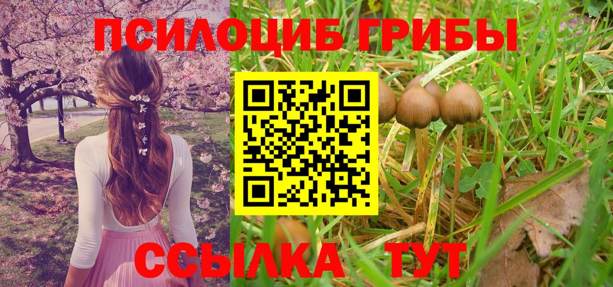 Галлюциногенные грибы ЛСД Мыски