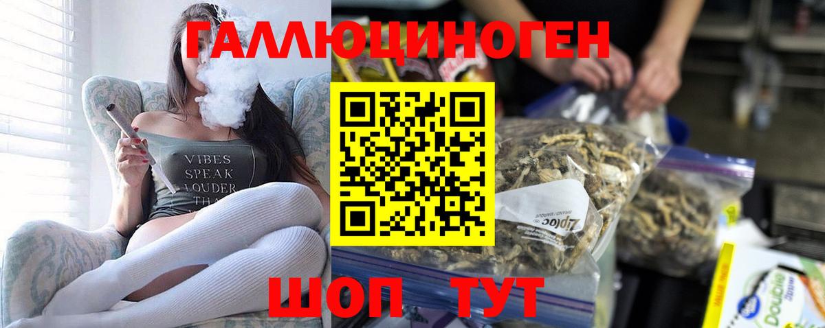 магазин продажи   Галлюциногенные грибы Psilocybine cubensis  Вход с VPN  Мыски 
