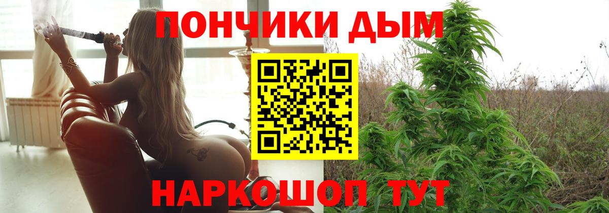 Бошки марихуана марихуана Мыски